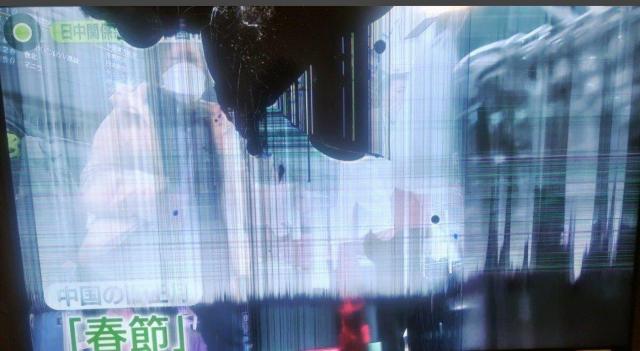 �I���I���T�O�C���`GL501U�`���[�i�[���X�e���r �� �Ɠd/AV�� 