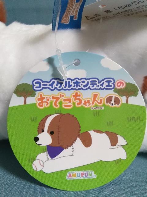 �R�[�C�P���z���f�B�G�̂��ł������@���߂����Ƃׂ��̃Z�b�g �� ��������� 