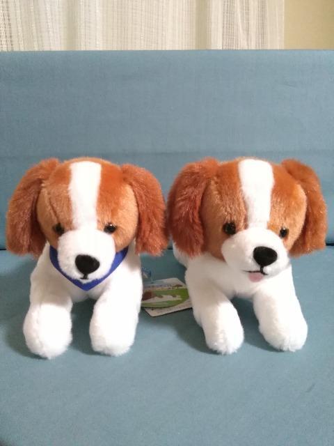 �R�[�C�P���z���f�B�G�̂��ł������@���߂����Ƃׂ��̃Z�b�g �� ��������� 