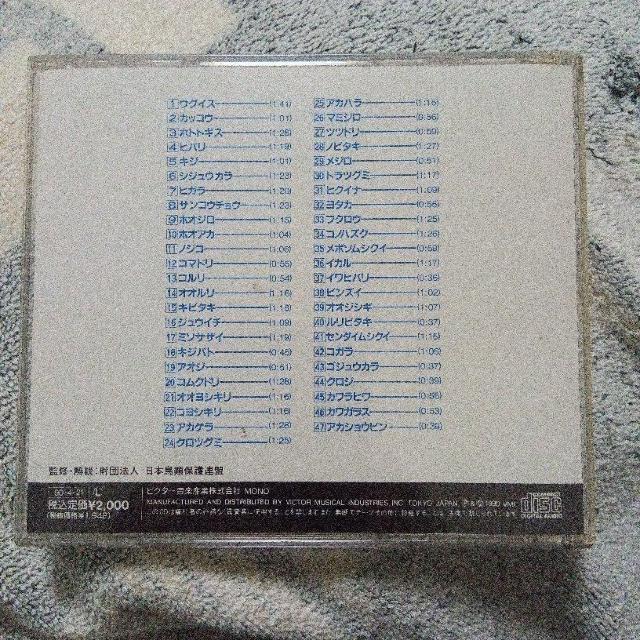 �쒹�̉� �� CD/DVD/�r�f�I�� 