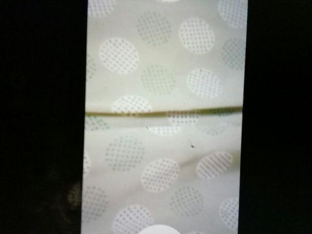 PELlE スーツ3点セット サイズ13 ¥48000 < 女性ファッション  PELlE スーツ3点セット サイズ13 ¥48000 < 女性ファッションの