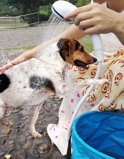 |[^uV[ AAEghAV[A dV[  W[/X|[c 