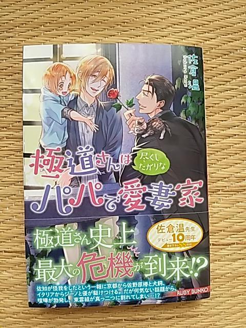 UV@@@ɓ͐sȃppňȉƁ@@q/   {/G 