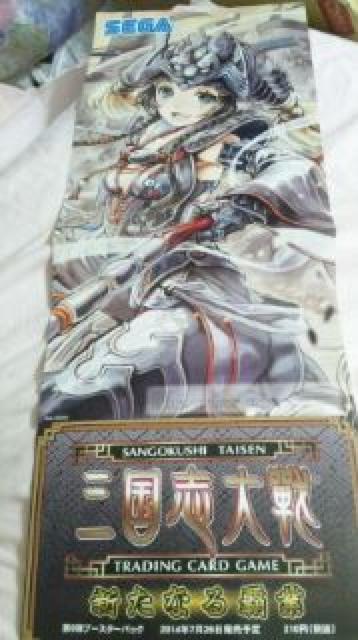 三国志大戦 新たなる覇業 宣伝ポスター 楊氏 < トレーディングカード 三国志大戦 新たなる覇業 宣伝ポスター 楊氏 < トレーディングカードの