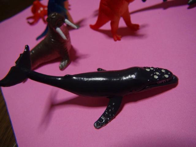 TATA^RACmVVANWACJAtBMAIB  zr[ 