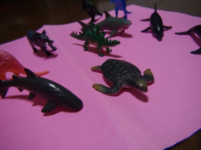 TATA^RACmVVANWACJAtBMAIB  zr[ 