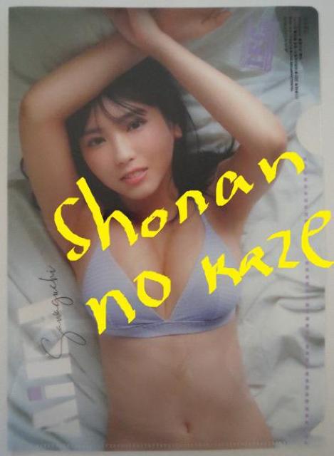 爆乳アイドル「沢口愛華」の未使用のクリアファイル1冊です。 < タレントグッズ  爆乳アイドル「沢口愛華」の未使用のクリアファイル1冊です。 < タレントグッズの