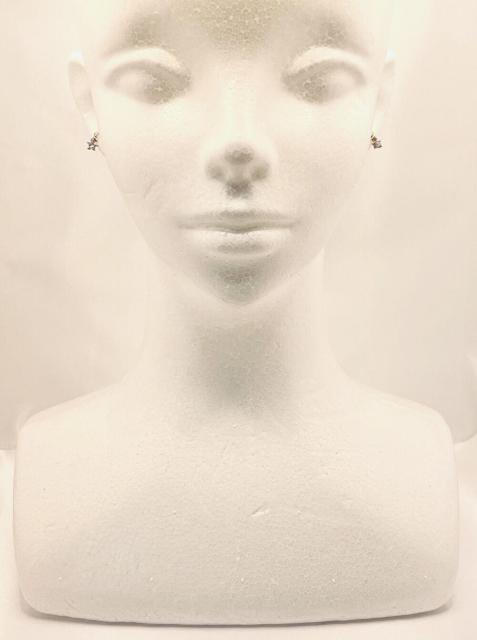yUC Silver/[V[Vo[zruXQT sAX X^[  ANZT[/v 