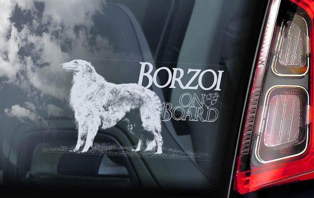 {]C B O J[XebJ[ 175~100mm O\ J[ XebJ[ EChE V[ DOG   /oCN