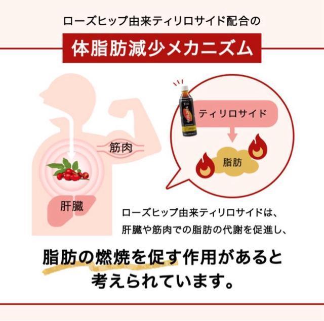 【24本】黒烏龍茶 機能性表示食品【 つづけるプラス 黒烏龍茶 】500ml 24本 体脂肪 黒ウーロン茶 烏龍茶 ウーロン茶 < グルメ/ドリンク 【24本】黒烏龍茶 機能性表示食品【 つづけるプラス 黒烏龍茶 】500ml 24本 体脂肪 黒ウーロン茶 烏龍茶 ウーロン茶 < グルメ/ドリンクの