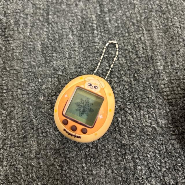  SKZOO TAMAGOTCHI ܂   