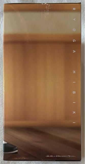 TV�A�j���u����1/2�v���ǉ� �t�B�M���A �� �A�j��/�R�~�b�N/�L�����N�^�[�� 