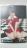 AKB48 �S�̃v���J�[�h ����Ր��ʐ^ �◧���� ����