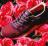 ASICS GEL-LYTE V mita sneakers Dried Rose 29cm AVbNX 5 ~^Xj[J[Y