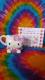 Hello kittyLeBvJb_CJbg}OJbv