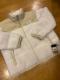 THE NORTH FACE 傫size3XL _E t[XkvV  ItzCg  m[XtFCX