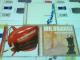 sMR.ORANGEtBZbg RA ~X^[IW bN ROCK PUNK pN CfB[Y