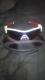 Kذ߰ ݸ׽ i  OAKLEY ܲā~گ