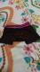 LbYTG@qbv@t@pc@80a