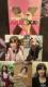 !ڱAKB48/AKBXX!BDVD2g/ʐ^5t!i