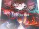  Fate stay night Heaven's Feel ذ߰߰