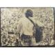 Viy|X^[zJohn Sebastian^WEZoX`@Woodstock'69