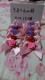Pnhbg{`[tO10