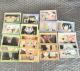 SPY~FAMILY LXeRNV m[} S20 XebJ[