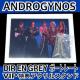 yVi/DIR EN GREYzANDROGYNOS/VIPTANpl