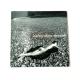 XeB[uEL[ LGE[` CD WPbg