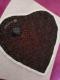 A@Vi@CLATHAS NCTX@^I@nJ`@n[g@
