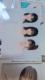 [jOB6ʐ^
