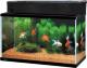 WFbNX GEX AQUARIUM KX }[i600BKS fAN[Zbg TJip