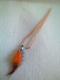/! ݸ30ڻްR̪ްH߱ݼތnЎp