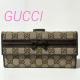 GUCCI �O�b�` 256933 2184 �V�F���[���C�� GG�� �L�����o�X ���U�[ ���{�� ��܂� �����z �u���E��