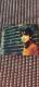 ZARD BEST`Request Memorial