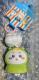 �������� MINISO�R���{ �J�G��������݁��_�^�L�[�z���_�[ 2�_�Z�b�g