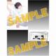 ߏϑzN@T@`낵4P[tbg
