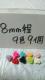 lCTCYɏvo8o9F9KNp[c