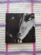 SUGIZO  TRUTH?  LUNA SEA
