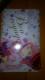 }_veB@`PbgP[X