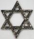 AzureGreen Star of David Talisman _rf̐