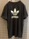 �Ò��@���B���e�[�W�@T�V���c�@�v�����gT�V���c�@adidas �A�f�B�_�X�@�g���t�H�C��
