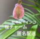 ZLZCCR@`[@B  