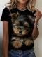 890~̃OtBbN`ꂽt@bVJWAȃX|[cTVcA@tr`TCYri{TCYkj