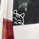 ̂L/XebJ[ijC-Type,LAcat