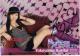 RJMTCJ[h60/60瓰2009񂱕P