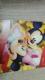[񔄕i]DOCOMOިưް 2018NǊ| ЯDisney