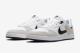NIKE SB AE[v