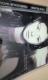 ؖCDydelicious wayz